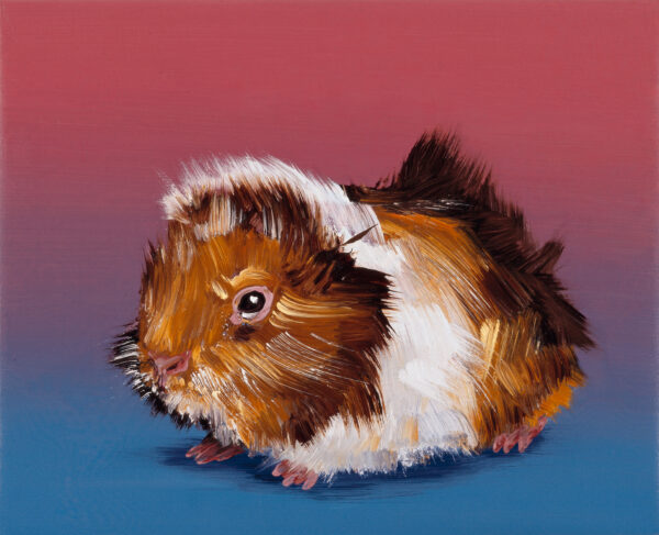 Cornelius Völker, Meerschweinchen, 2003, Öl auf Leinwand, 40 x 50 cm, Privatsammlung, © Cornelius Völker / VG Bild-Kunst, Bonn 2023, Foto: Meino von Eitzen, Wuppertal