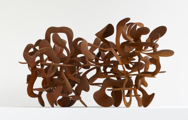 Tony Cragg, Thicket, 2016, Stahl, 107 cm x 116 cm x 119 cm, © Tony Cragg / VG Bild-Kunst, Bonn, 2024, Foto: Michael Richter