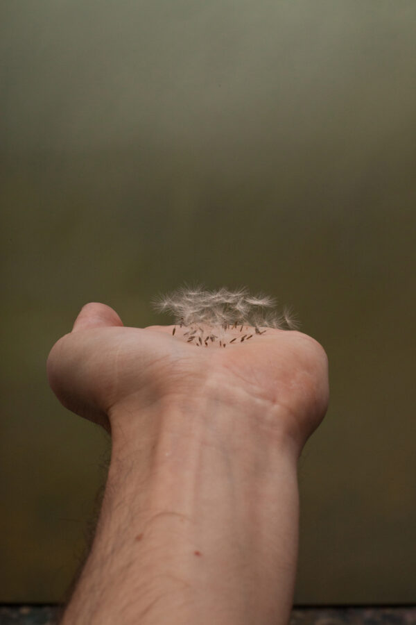 Paul Hutchinson, in my hand, 2016, C-Print, 40 x 30 cm, Copyright: VG Bild-Kunst, Bonn, 2024