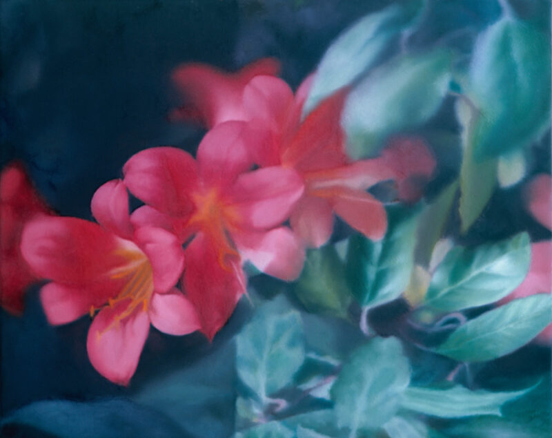 Gerhard Richter, Blumen, 1977